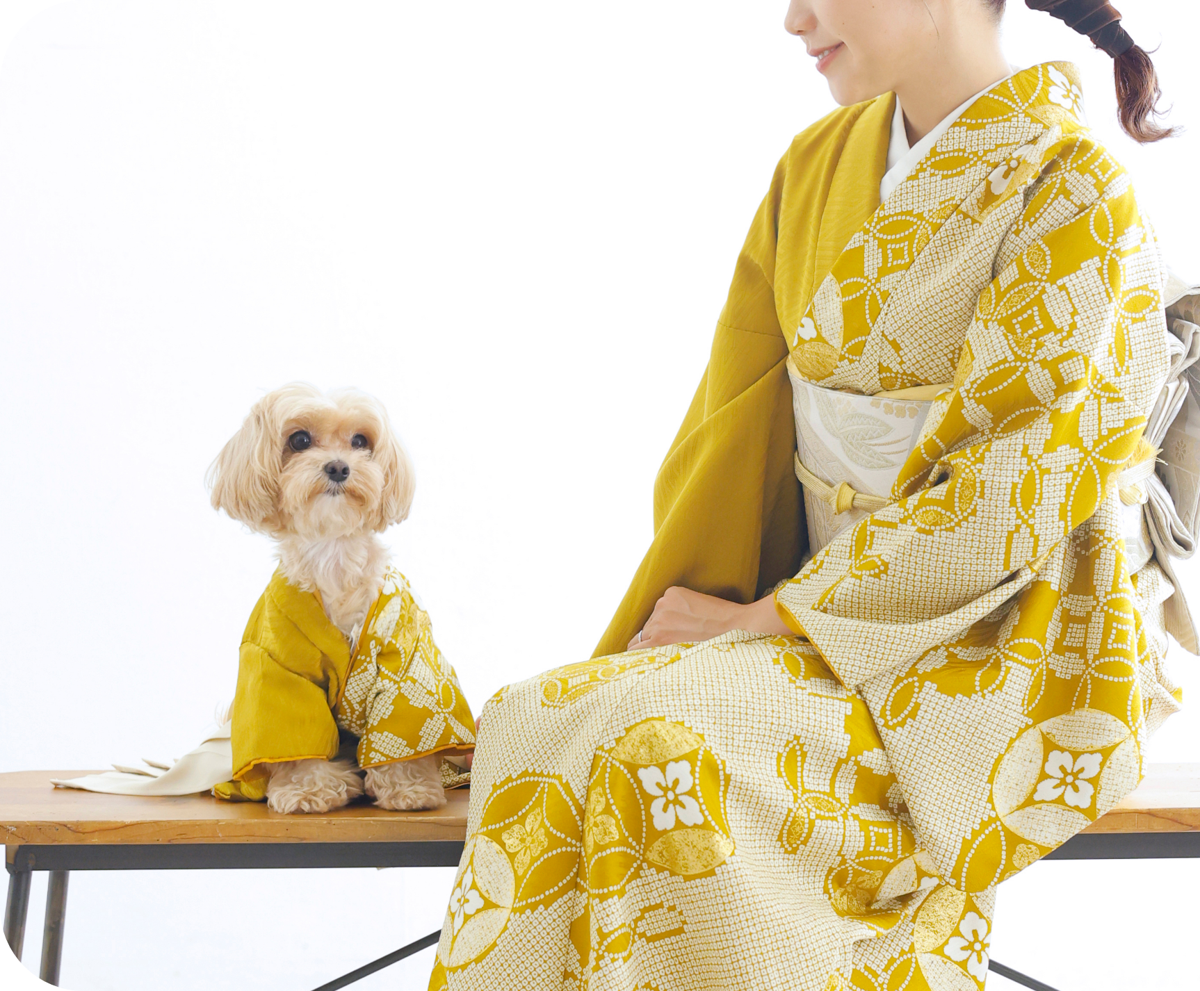 着物を着ている家族と犬