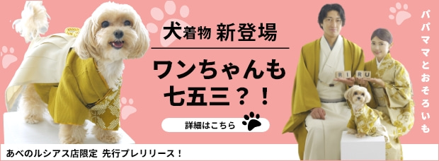 犬着物新登場！ワンちゃんも七五三？！／あべのルシアル店限定先行プレリリース！